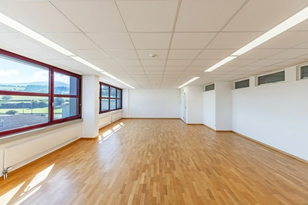 Helles Büro in Staad 2