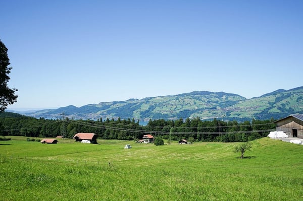 Studio in gepflegter Anlage 7