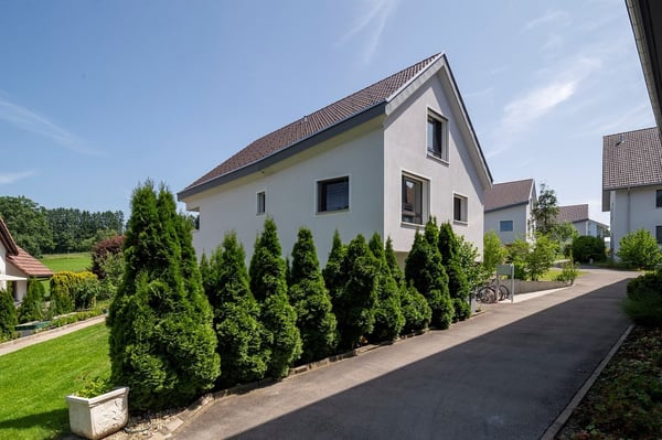 Modernes Einfamilienhaus 1