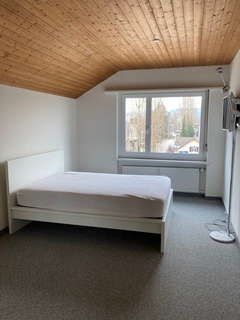 Charmante Dachwohnung an zentraler Lage 4