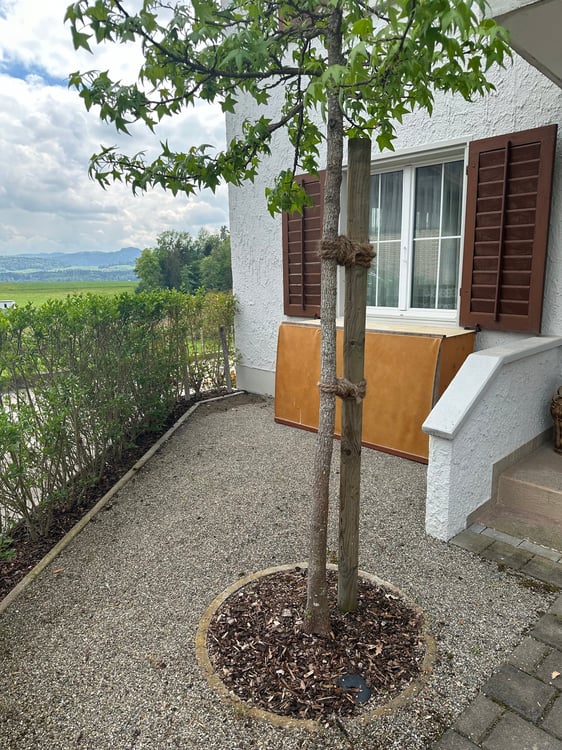 grosszügiger 2.5-Zimmer-Hausteil mit Parkplatz in Halingen Matzingen 3