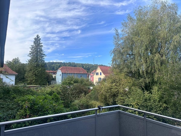 Charmantes Einfamilienhaus an ruhiger Lage mitten in Winterthur 5