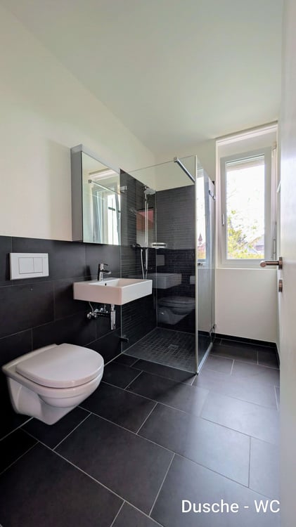 Grosszügige 5.5-Zimmer-Dach-Maisonettewohnung mit Balkon und Stadtblick in Opfikon 10