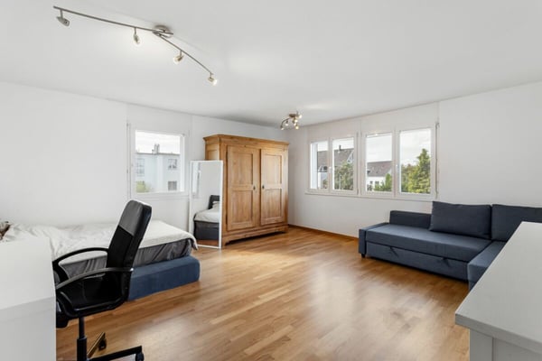 Sehr grosses 7.5-Zimmer-Eckhaus mit zusätzlichem Büro und grossem Hobbyraum in Wetzikon 8