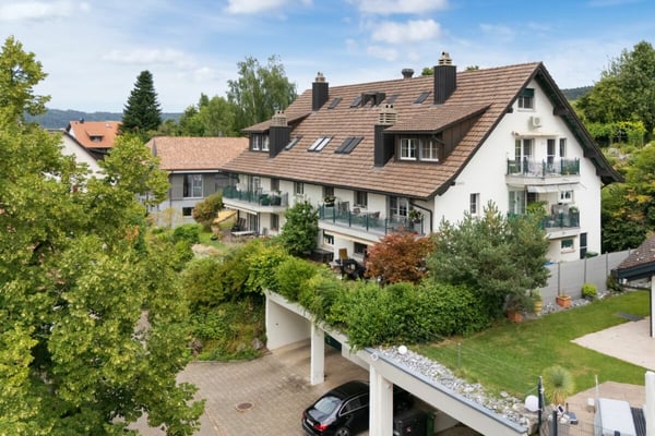 Renovierte Maisonette im Grünen mit Aussicht auf den Pfäffikersee und die Alpen
