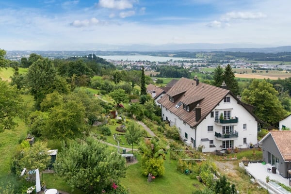 Renovierte Maisonette im Grünen mit Aussicht auf den Pfäffikersee und die Alpen 3
