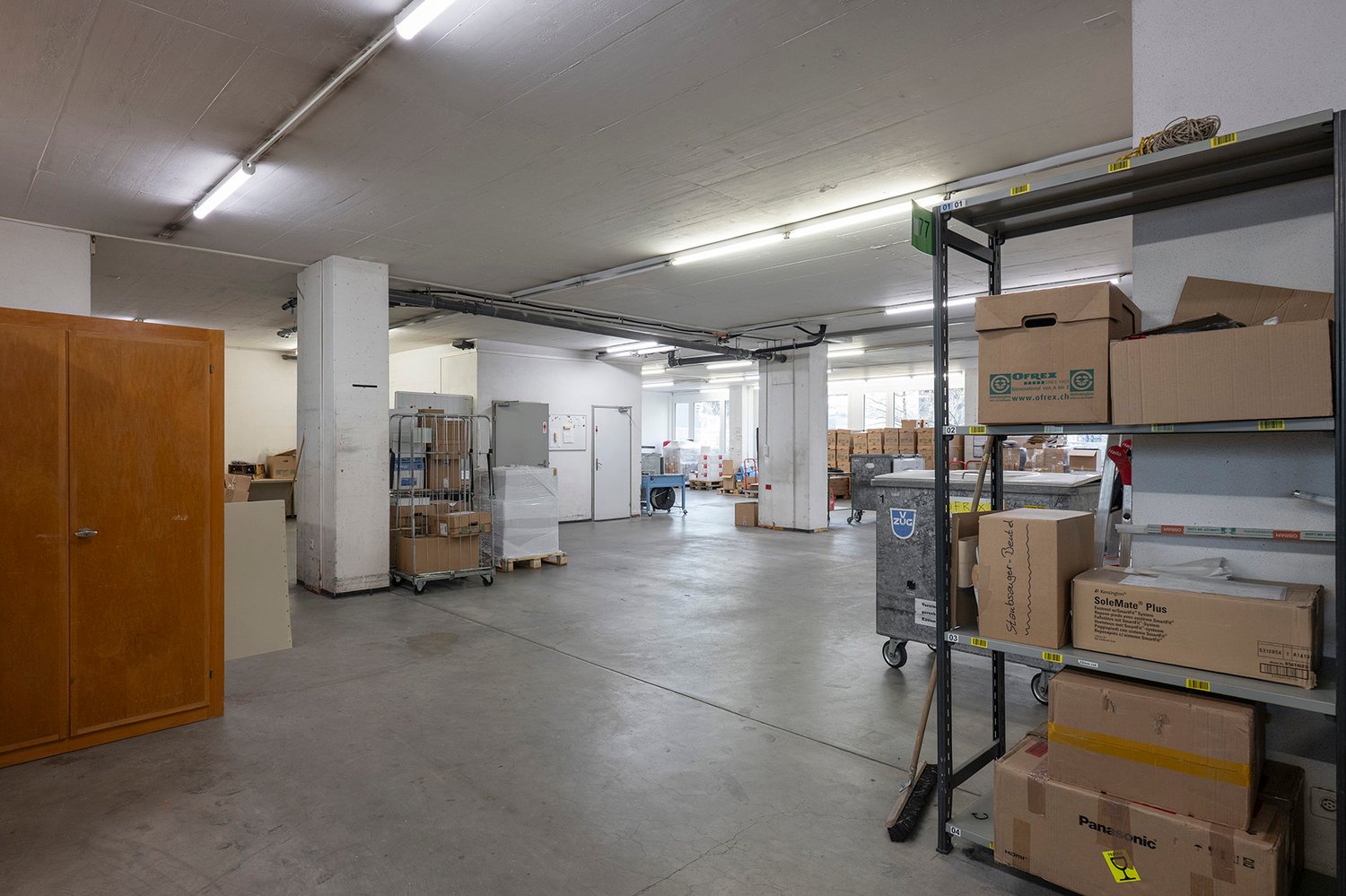 warehouse, wooden door, trolley, shelves with boxes, white ceiling, warehouse trolleys, white walls