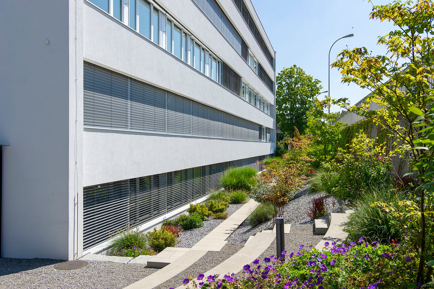 white facade, office building, glass windows, shrubs and plants, paved path