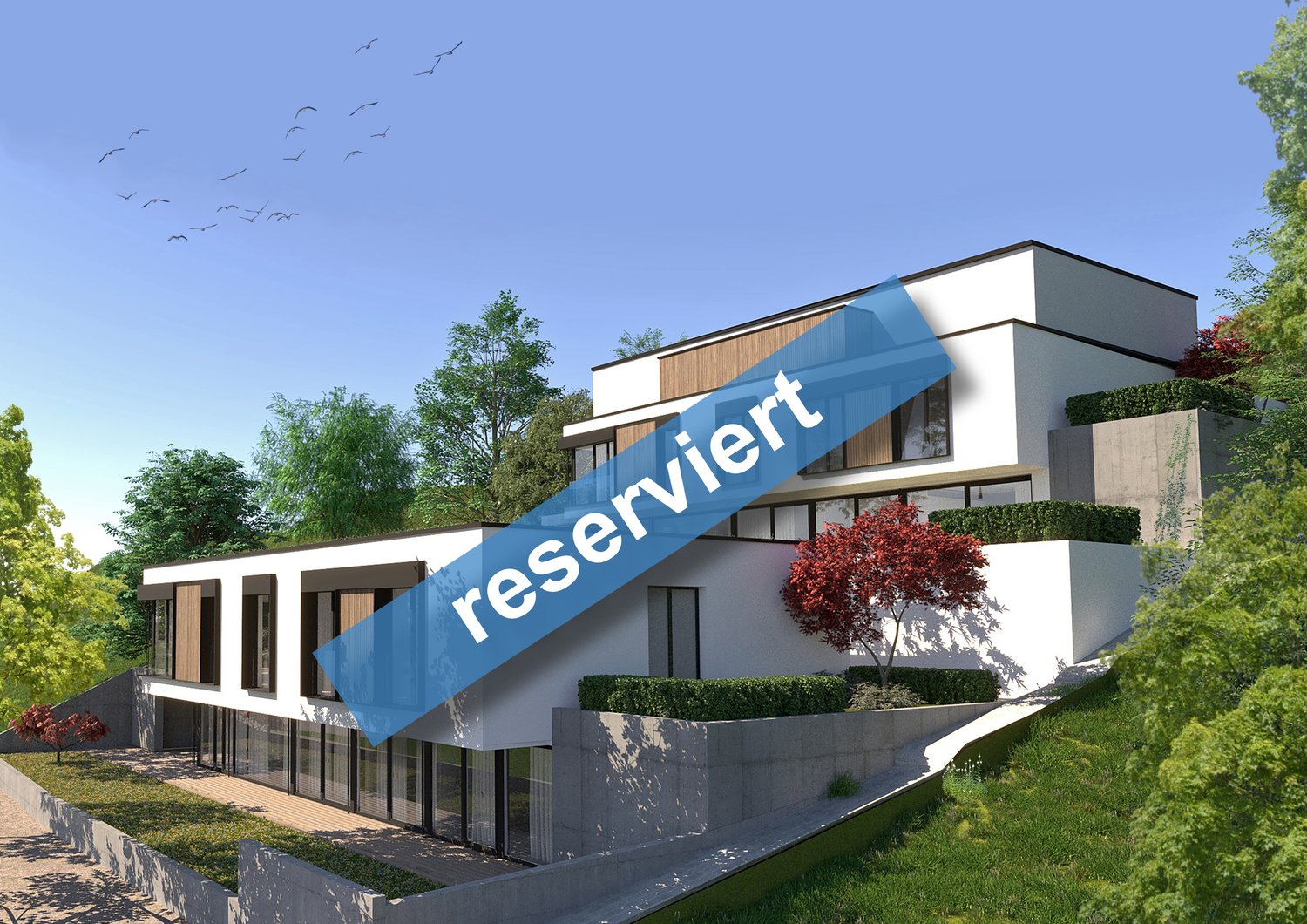 modern house, white exterior, large windows, raised ground floor, modern design, surrounded by greenery