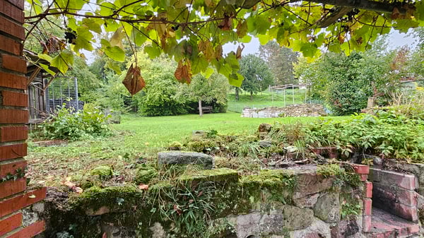 Ehemaliges Bauernhaus mit viel Potenzial und lauschigem Garten 3