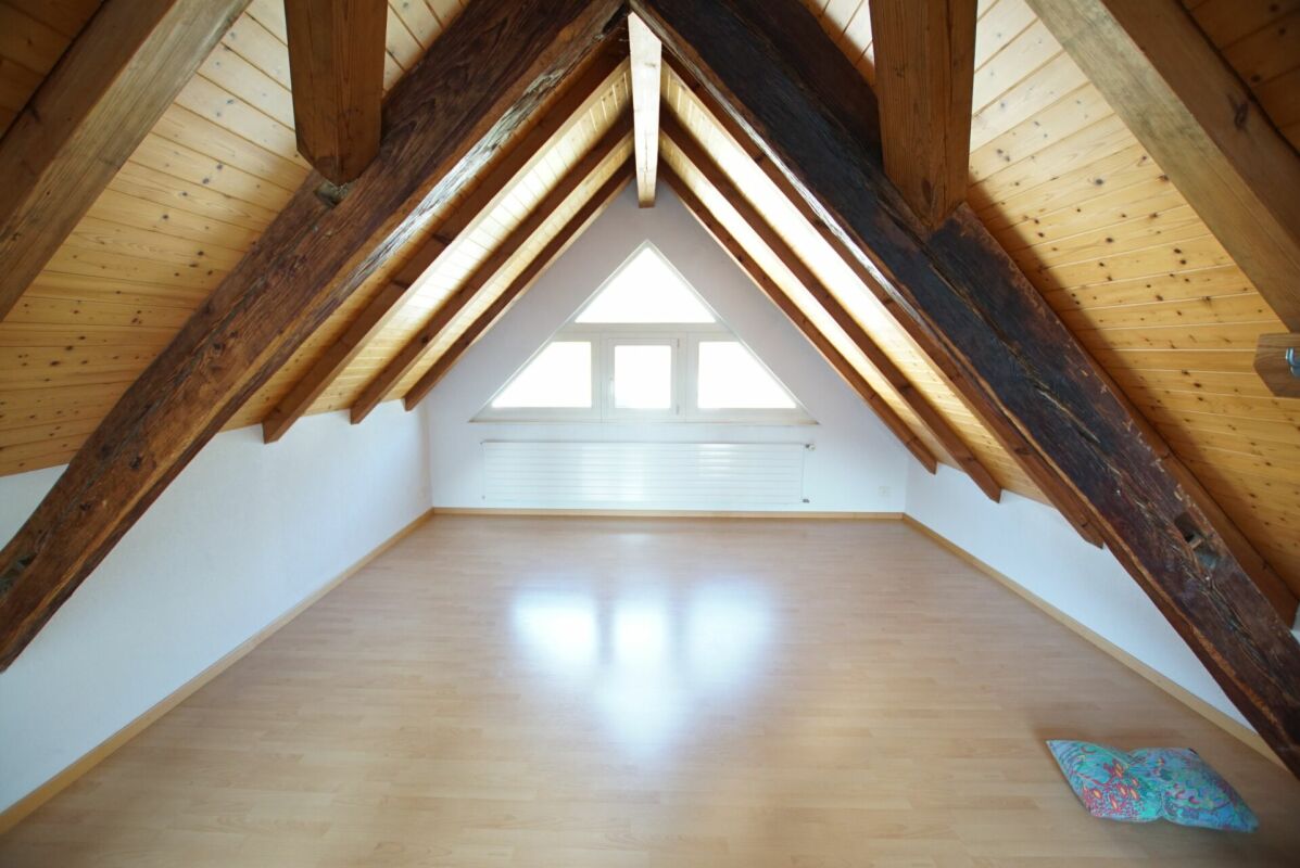 Charming Space Wonder!