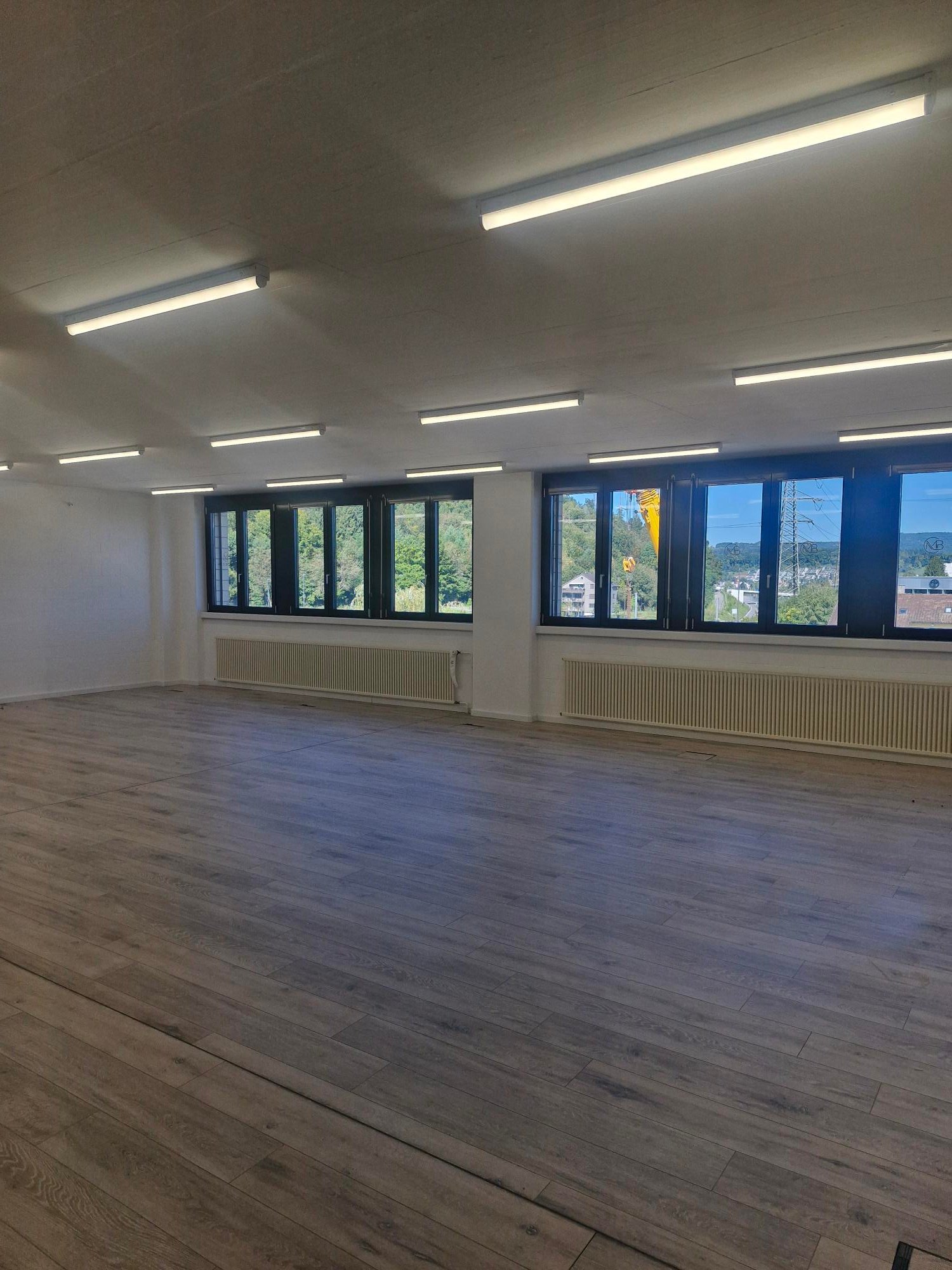 large open space, hardwood floors, windows, white walls, radiators