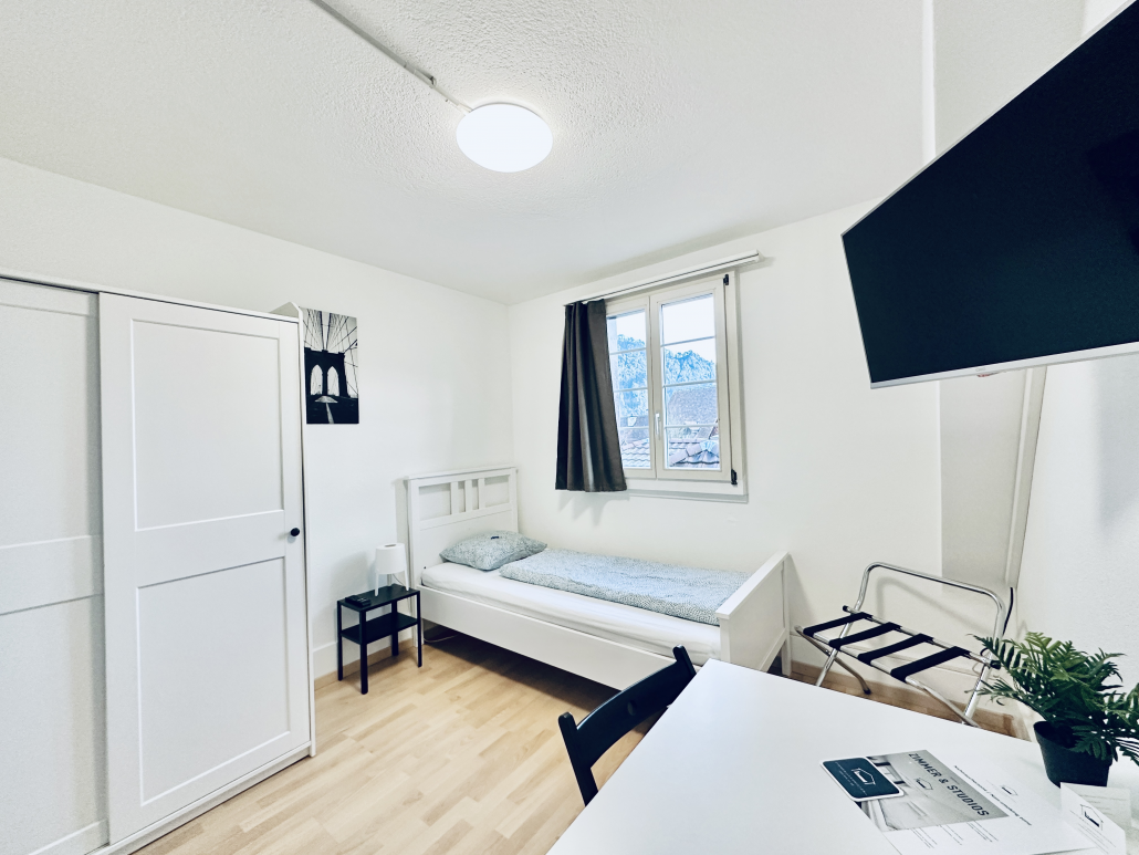 Small room with a bed, bedside table, desk, TV, chair, plant, and wardrobe