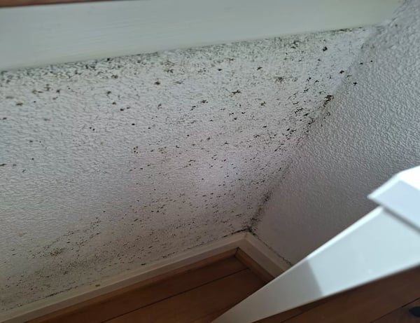 Möbliertes Zimmer - Heute einziehen 1