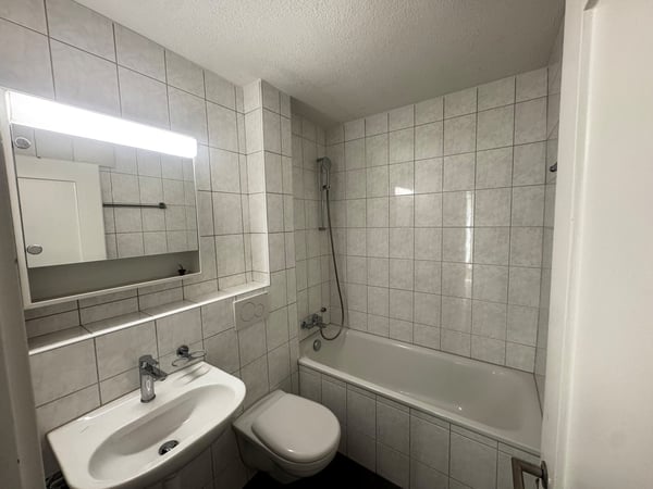 Charmante 3-Zimmer-Erdgeschosswohnung mit Sitzplatz in Dübendorf 3