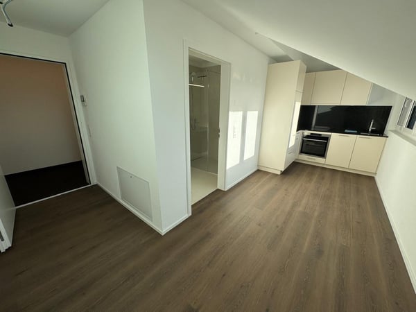 1-Zimmerwohnung im Grünen mit modernem Innenausbau 3