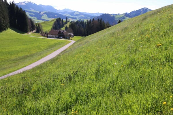Drei attraktive Baulandparzellen an sonnigem Südhang mit herrlicher Aussicht! 4
