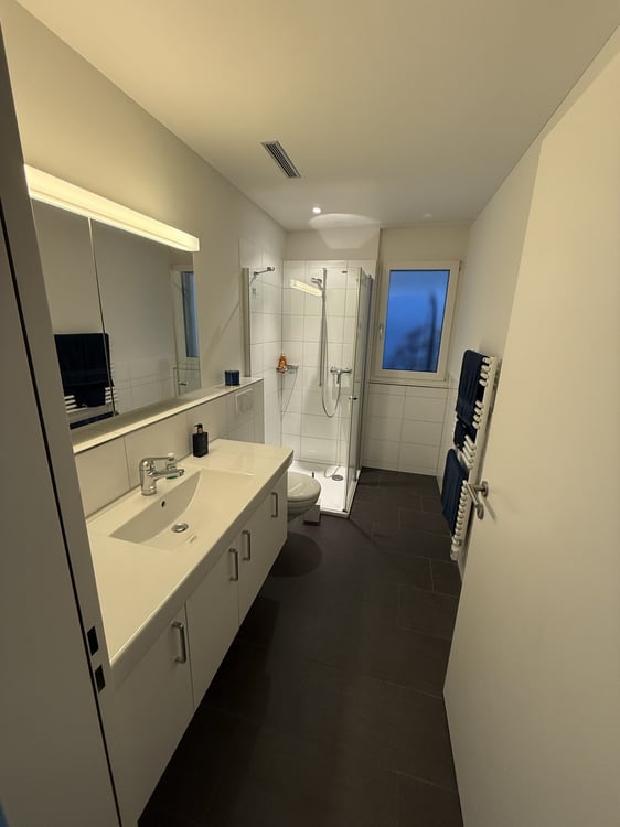 Moderne möblierte 1.5-Zimmer-Wohnung in Freienbach 6