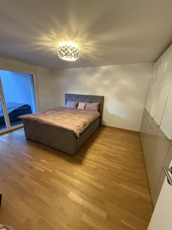Moderne möblierte 1.5-Zimmer-Wohnung in Freienbach 4