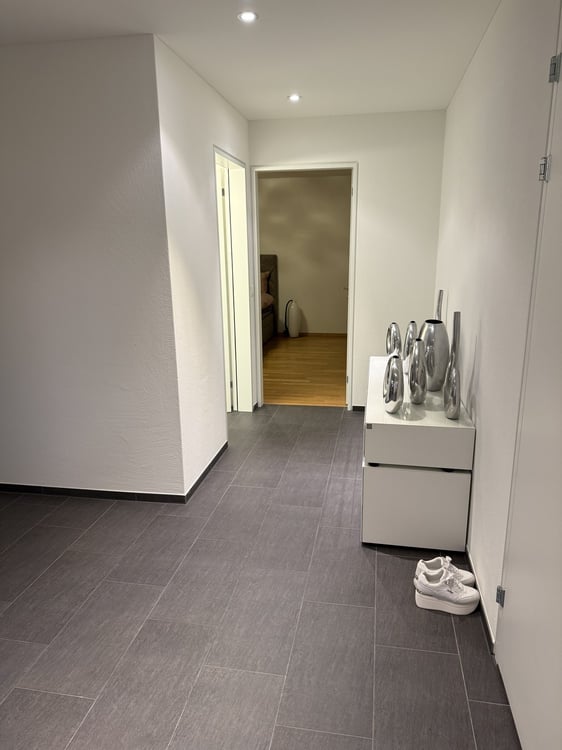 Moderne möblierte 1.5-Zimmer-Wohnung in Freienbach 7