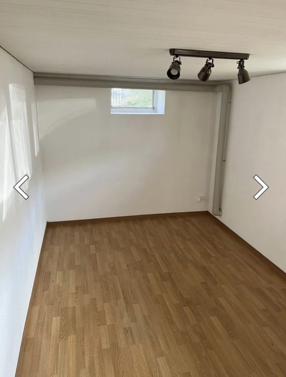 Gewerbe-/Hobbyraum mit eigenem Eingang und WC  vielseitig nutzbar 2