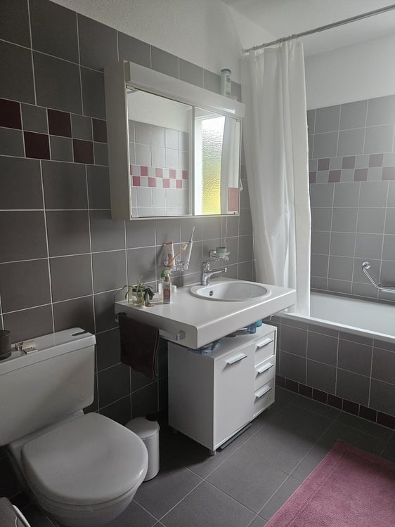 Zur Untermiete: Wohnung in Thun 5