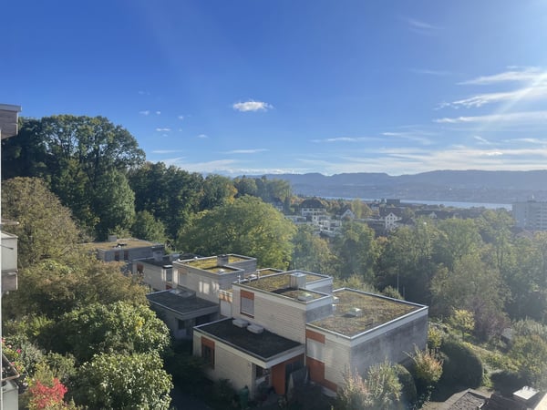 Rarität in Zürich-Witikon - 1.5-Zimmer-Wohnung mit Seesicht & grosszügigem Grundriss 7