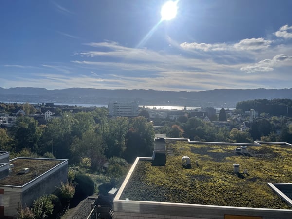Rarität in Zürich-Witikon - 1.5-Zimmer-Wohnung mit Seesicht & grosszügigem Grundriss 4