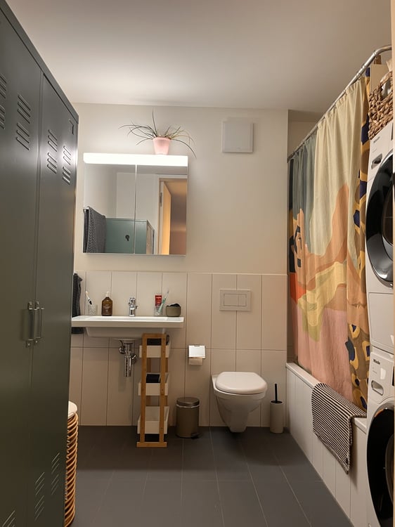 Möblierte 1.5-Zimmer-Wohnung mit Gartensitzplatz zur Untermiete (Albisrieden, Zürich) - Furnished 1.5-room apartment with garden seating area for sublet (Albisrieden, Zurich) 12