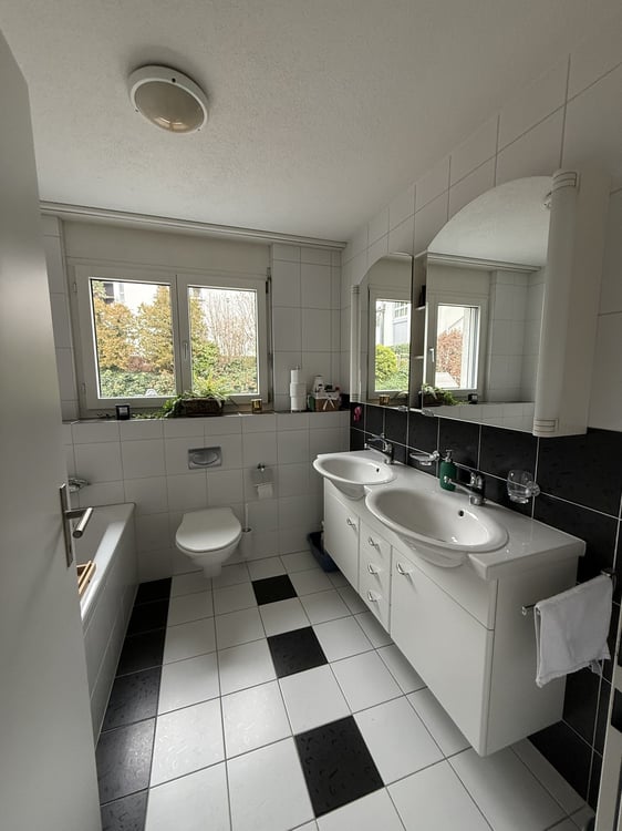 Möblierte 1.5-Zimmer-Wohnung mit Seesicht in Merlischachen (7 Monate befristet) 13