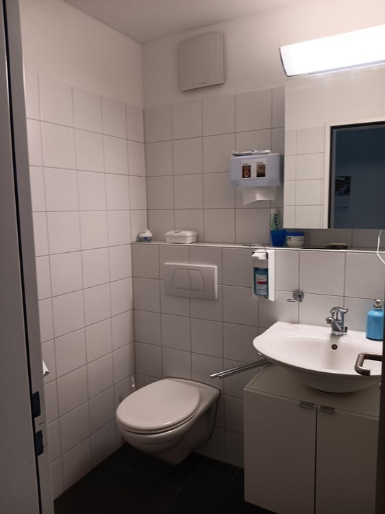 Grosszügige Wohnung im Herzen von Rapperswil SG zu vermieten 8