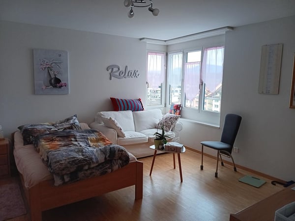 Grosszügige Wohnung im Herzen von Rapperswil SG zu vermieten 2