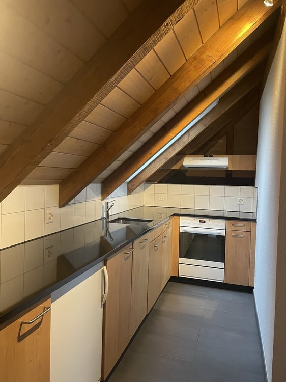 2.5-Zimmer-Dachwohnung 3