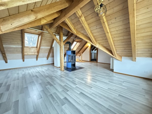 2.5-Zimmer-Dachwohnung 1