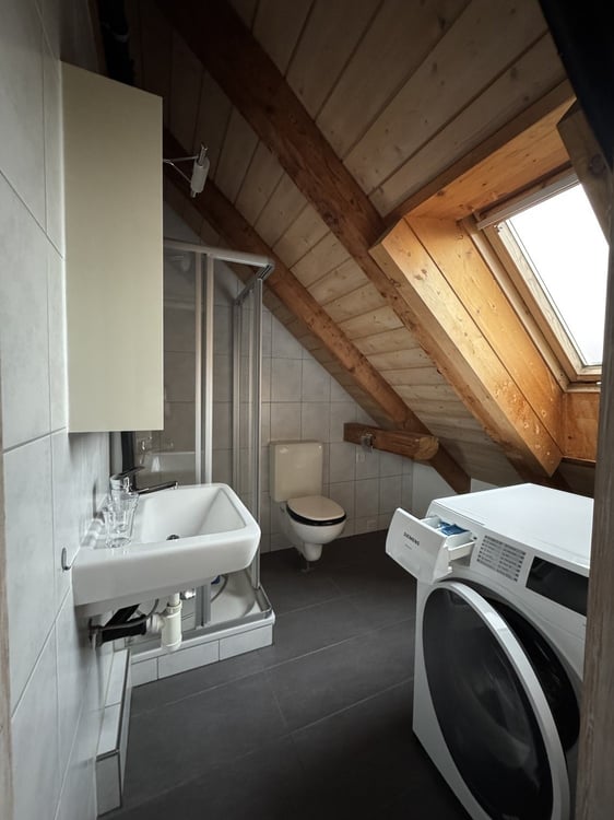 2.5-Zimmer-Dachwohnung 4