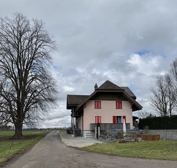 2.5-Zimmer-Dachwohnung 5