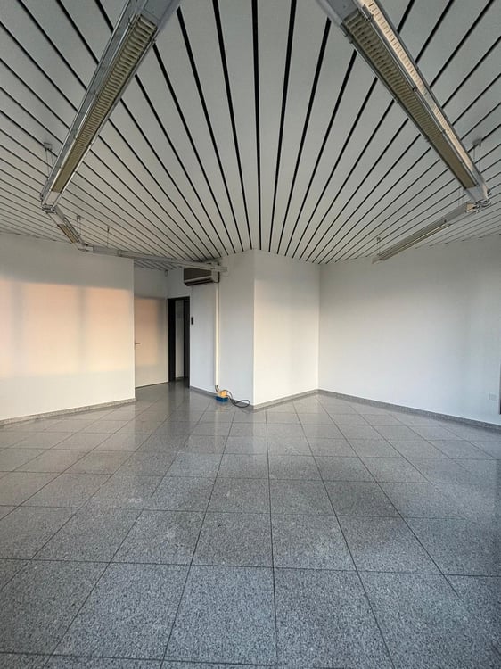 Heller und einladender Gewerberaum mit Terrasse in Schenkon 3