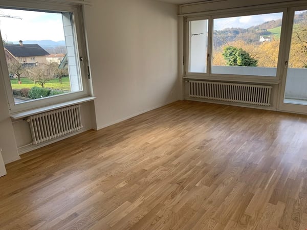 Grosszügige, helle 1.5 Zimmerwohnung 1