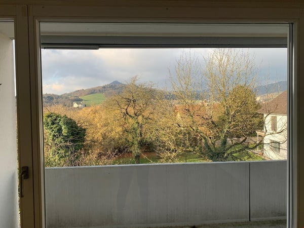 Grosszügige, helle 1.5 Zimmerwohnung 13