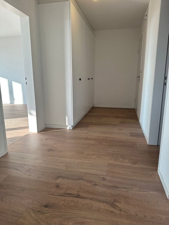 1 1/2-Zimmerwohnung Egerkingen 4