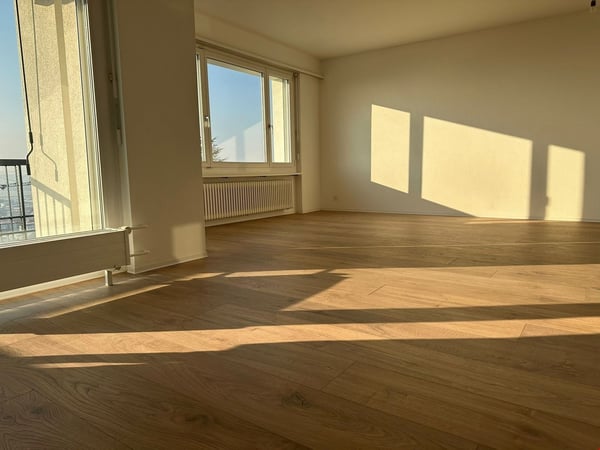 1 1/2-Zimmerwohnung Egerkingen 3