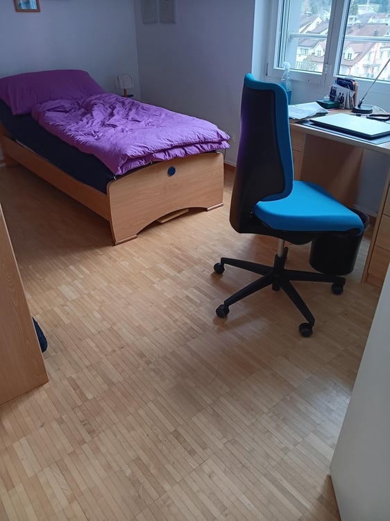 Grosszügige Wohnung im Herzen von Rapperswil SG zu vermieten 3