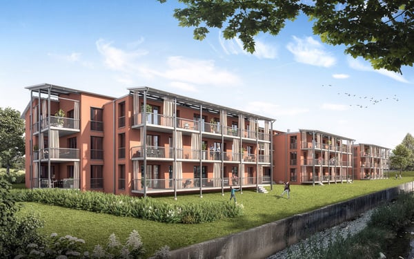 Jonadampfer - Bleiche Wald 2