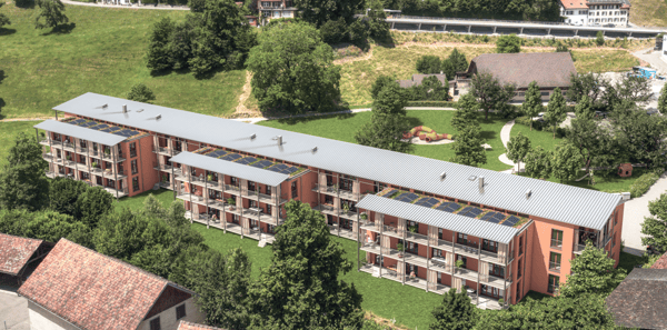 Jonadampfer - Bleiche Wald 1