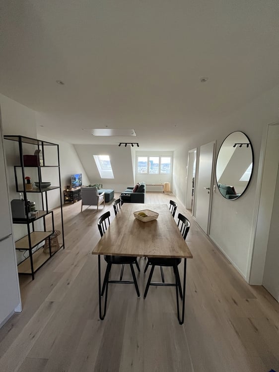 Furnished Apartment with Private Rooftop Terrace (Kreis 6) - Temporary Sublet 7