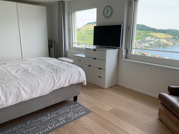 Exclusive Lakeview Apartment Near Zug & Rotkreuz  Move-In Ready 10
