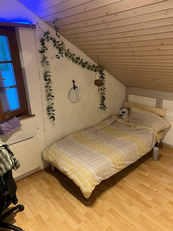 4,5 Zimmer Wohnug 2