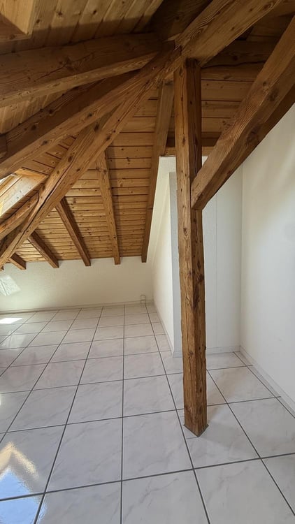 Neu renoviert mit grosser Zinnenterrasse und herrlicher Aussicht 9