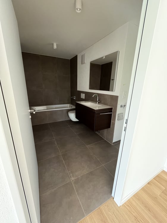 Erstvermietung 3.5 Zi-Wohnung 158m2 Loft-Style, 2600.- Fr 7