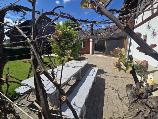 Einzigartige 3 Zimmer Loftwohnung mit Wintergarten & Garten 3